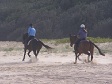 Horseback Riding in Sand.jpg